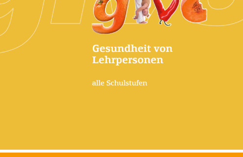 Cover der Borschüre Gesundheit von Lehrpersonen