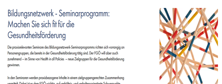 Screenshot www.fgoe.org